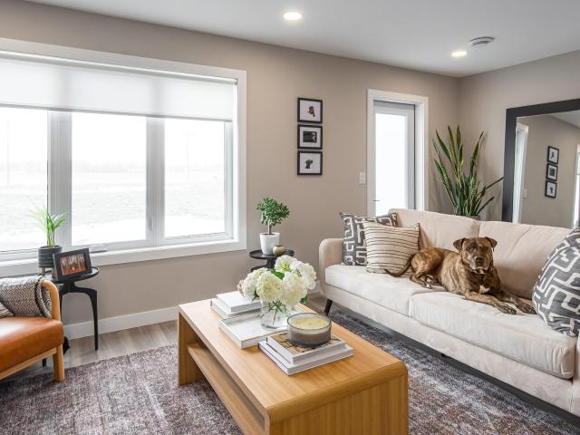 147 & 153 Champagne Street Champ Apartment for Rent