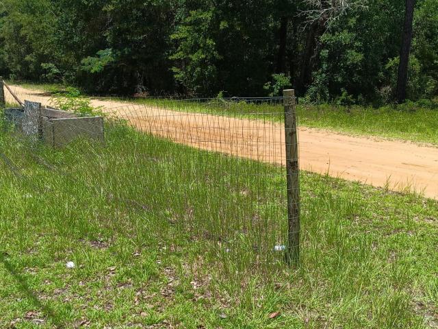 147 2nd Way, Interlachen, FL 32148 | MLS #2150