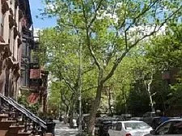 147 Amity Street, Brooklyn, NY
