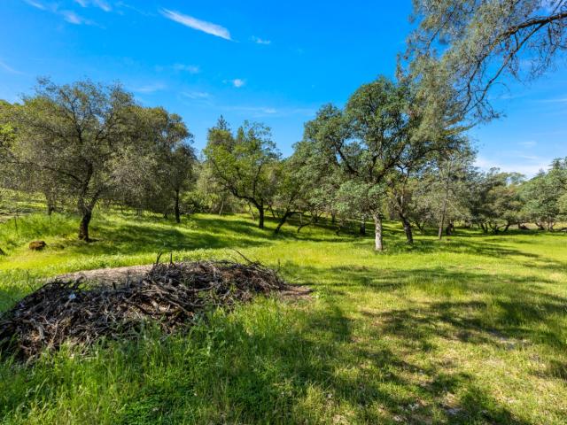 14800 McElroy Rd, Auburn, CA 95602 | MLS #226046