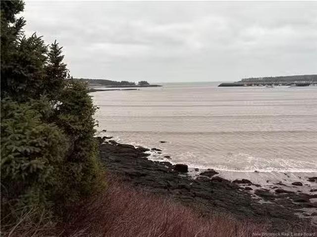 1480 Route 790, Dipper Harbour, NB, E5J 1W3 vacant land for.