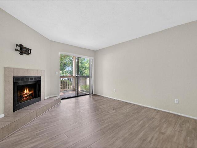 1481 Center Street Apt 1301