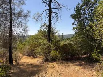 14973 LA PLACE LN, DOBBINS, CA 95935