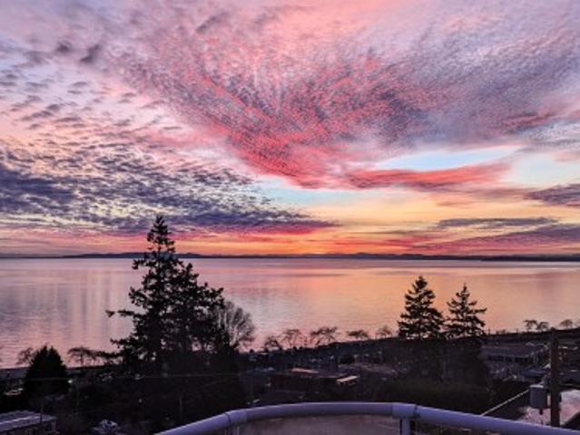 14937 Blackwood Lane, White Rock, BC, V4B 2A8 house for sale | Listing ID R3151 | Royal LePage