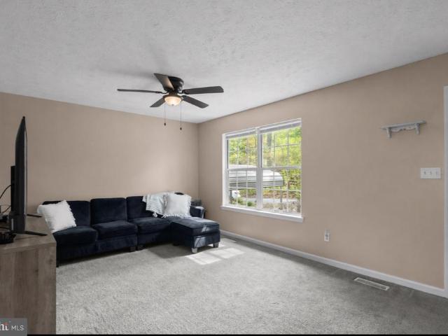 149 Gray Squirrel Road
