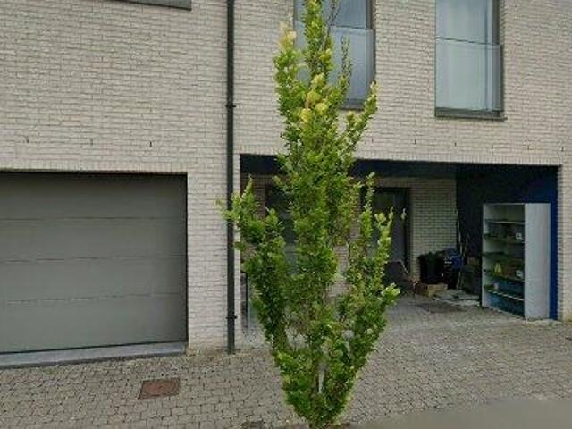 149 m2 apartment for rent in Deinze