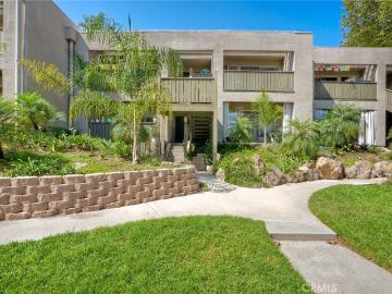 149 W Glaucus