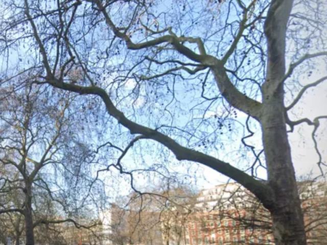 14 15 Grosvenor Square, London, W1K 6LD, United Kingdom | 4 bed apartment for rent #117882324 | Rentberry