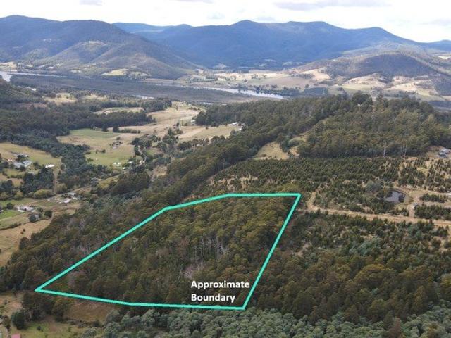 14 Acre Bush Lot