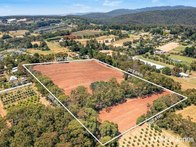 14 Acres of Lifestyle Opportunity