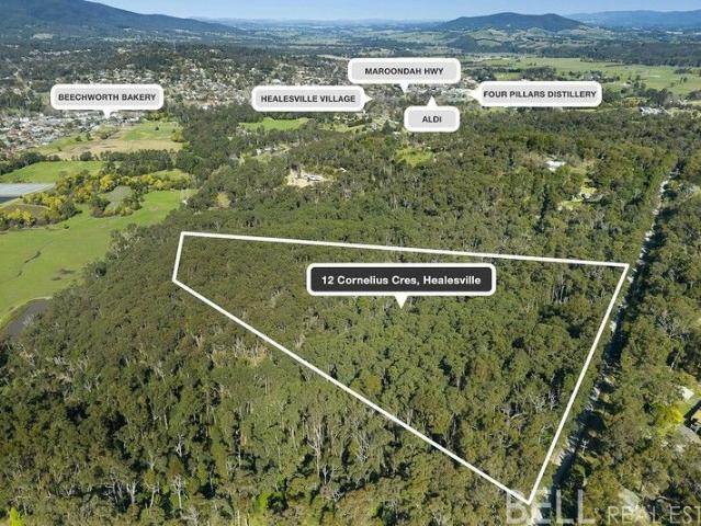 14 acres of natural bushland ready to build!