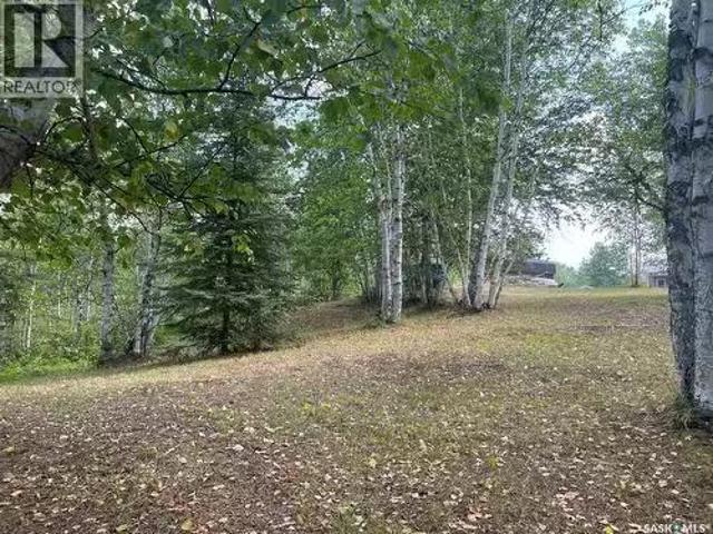 14 Andrews Way, Cowan Lake, SK, S0J 0E0 vacant land for sale.