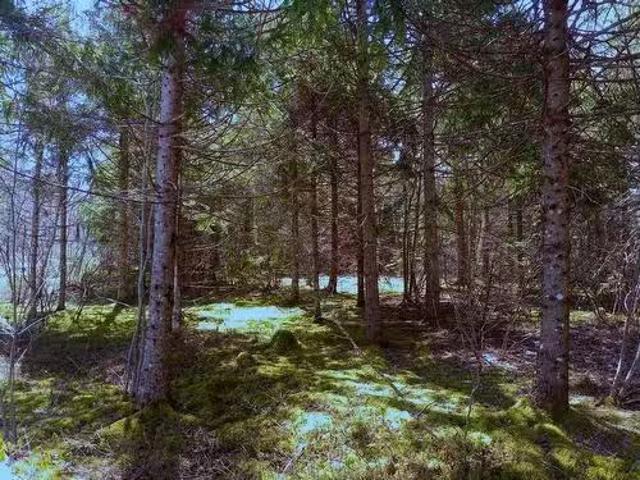 14 Johnny Cash Lane, Juniper Mountain, NS, B1K 0C2 vacant la.