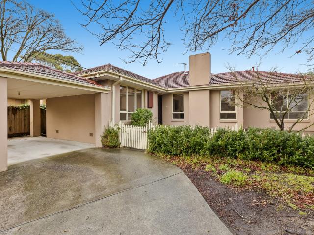1/4 Jolimont Road, Forest Hill, VIC 3131 Unit for Rent Ray White Mount Waverley