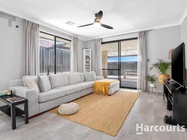 14 Lancewood Street, BANKSIA GROVE, WA 6031