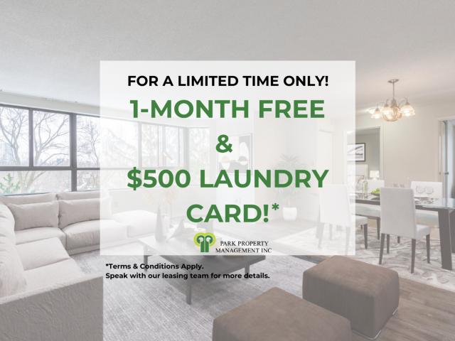 14 Spruce Street One Bedroom Apartment Apartment for Rent