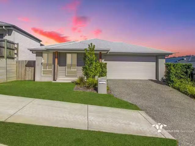14 Stellar Street, Spring Mountain, QLD 4300