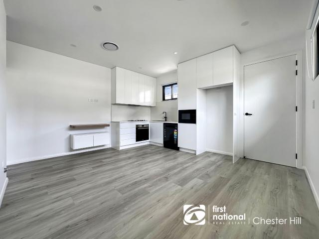 14A Merle St, Chester Hill
