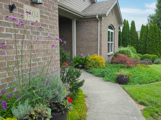 1504 Phyllis Drive