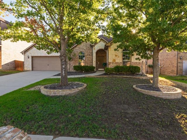 1505 Stetson Drive