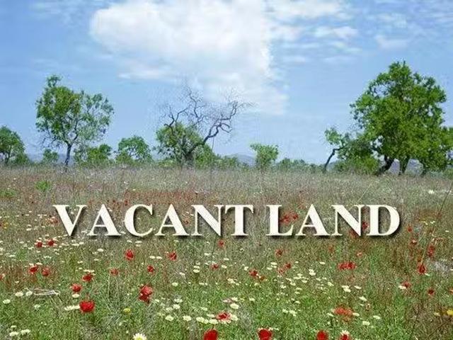 1508 Catharine Ave, Winnipeg, MB, R3E 1V8 vacant land for sa.