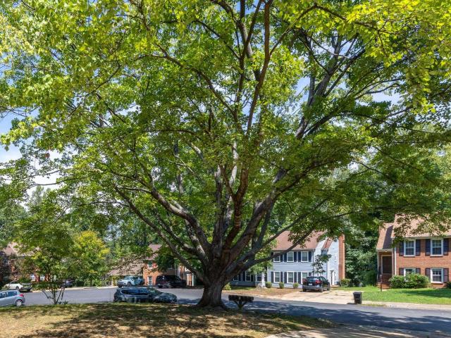 1508 westfield ct