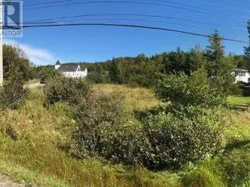 150 North Shore Highway, Meadows, NL, A2H 6B9 vacant land fo.