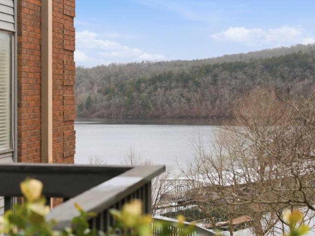 150 Sunken Forest Drive # 1 96