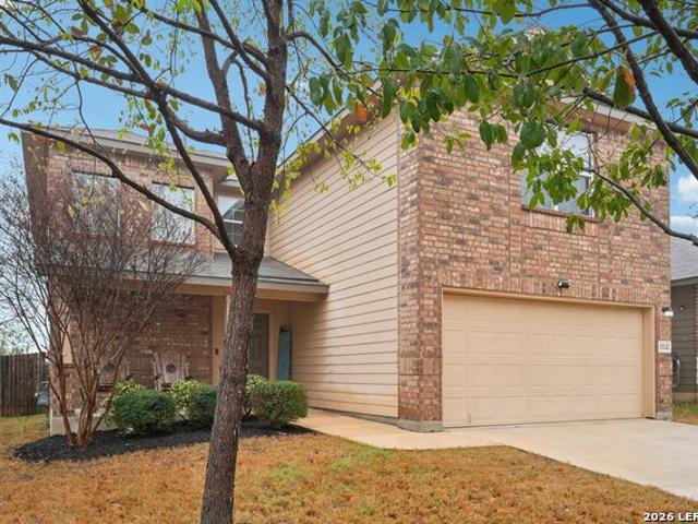 15142 Cinnamon Teal
