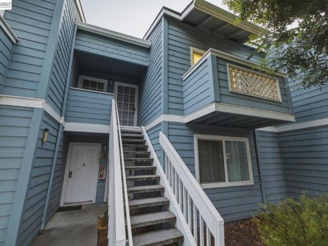 1511 Four Oaks Cir