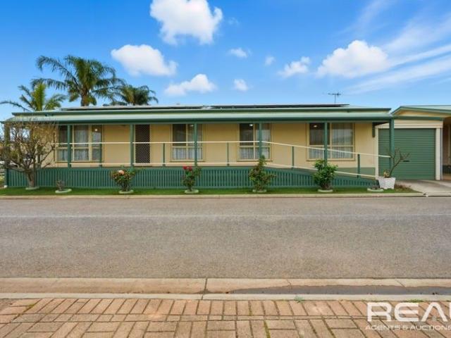 151 Jacaranda Street, The Palms Residential Park