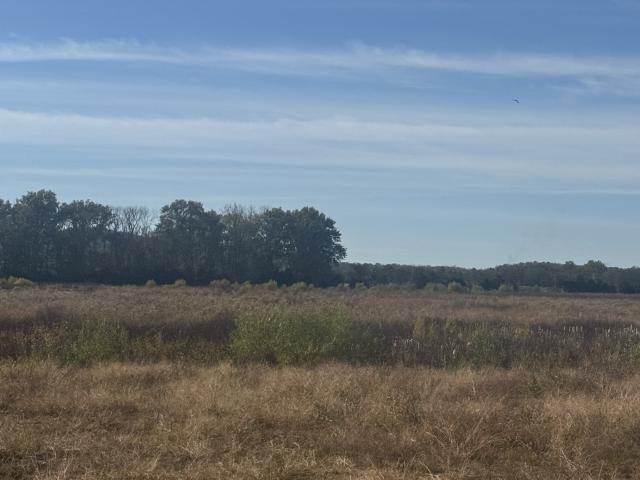 15257 Hwy 99