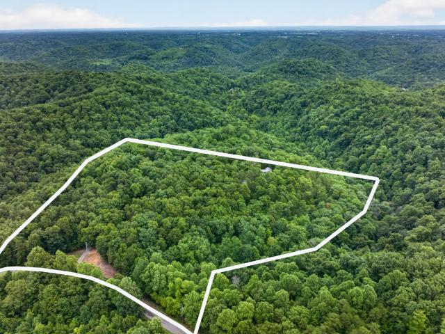 1529 Pea Ridge Rd