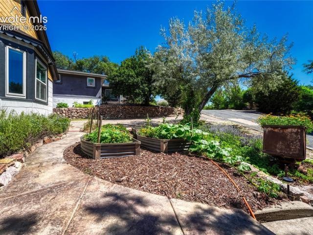 1520 dorchester drive