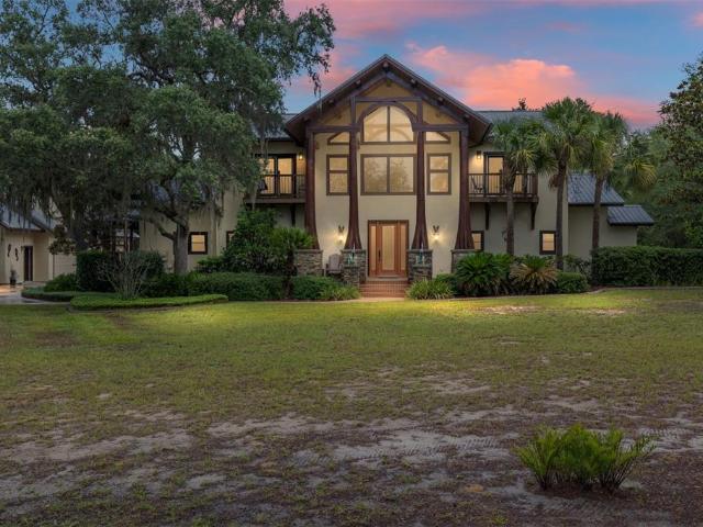 15225 NE 246 Ave, Salt Springs, FL 32134 | MLS #OM706819