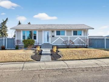 Caernarvon, Edmonton, Alberta - Garden