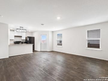 15363 Brown Violetear, San Antonio, US, TX