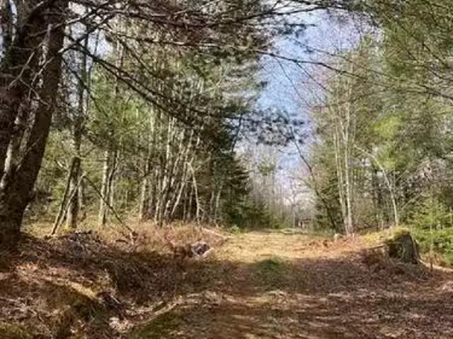 1539 Old Liverpool Road, The Halfway, NS, B0R 1H0 vacant lan.