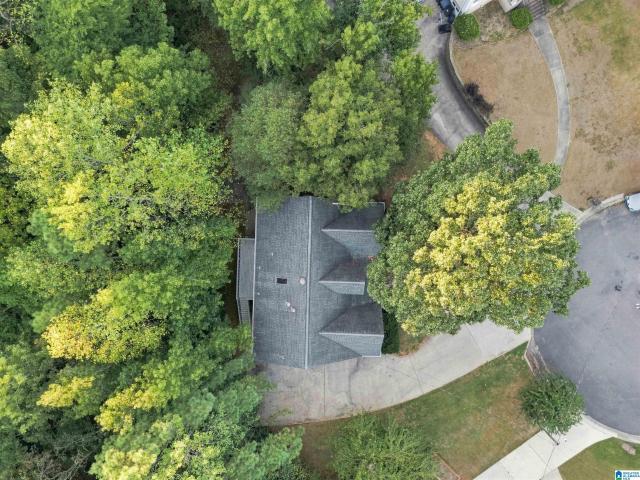 1532 Cypress Cove Circle
