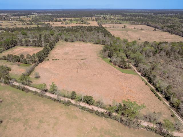1533 Kickapoo Rd, Groveton, TX 75845 | MLS #34524