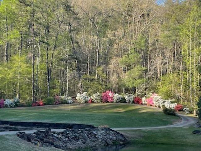 154 Broken Bow Run