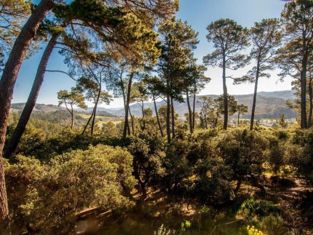 154 del mesa carmel