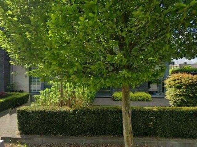 154 m2 apartment for rent in Houthalen Helchteren