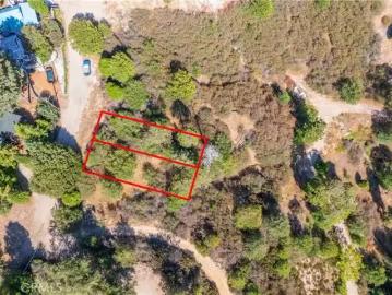 1556 CRAGHILL DR, CEDAR GLEN, CA 92321