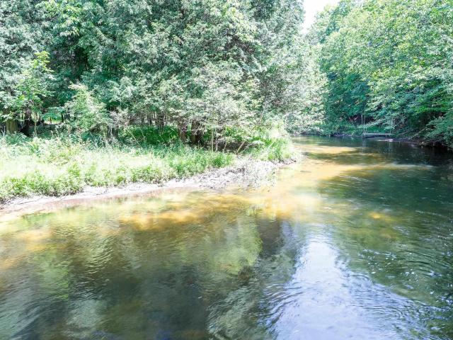 15570 Betsie River Drive