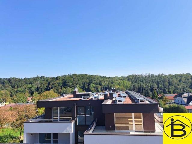 15575 NEUBAU 2 ZIMMERWOHNUNG MIT DACHTERASSE