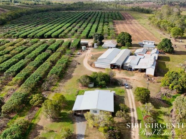 155 Acres of Prime Horticultural and Cropping in Sought After Paddy's Green