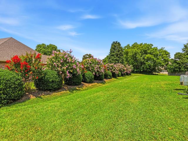 155 Brightstar Ct