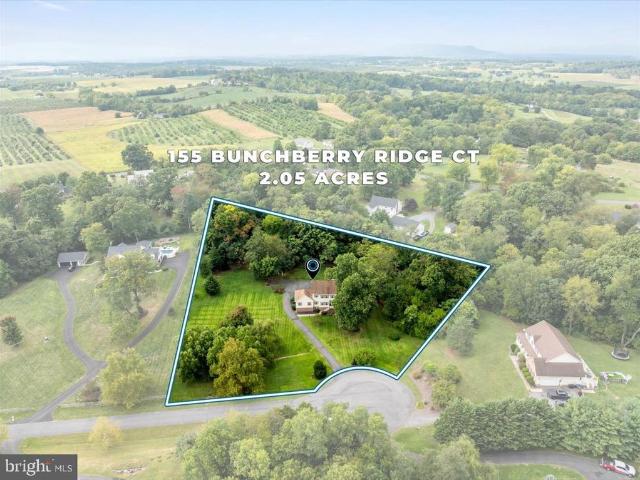 155 Bunchberry Ridge Court