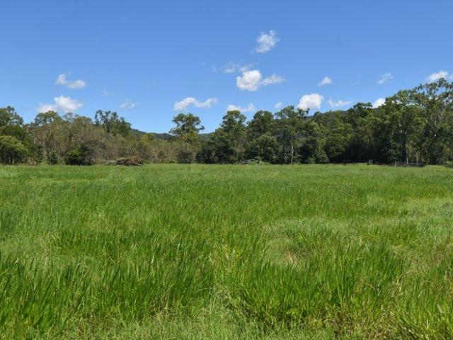 155 Ha Grazing Property 30km from Mackay Watered & Ready to Run Productive grazing property only 30km from Mackay